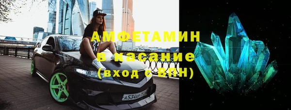 ECSTASY Богданович