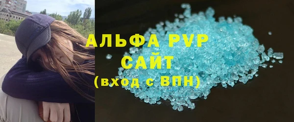 ECSTASY Богданович