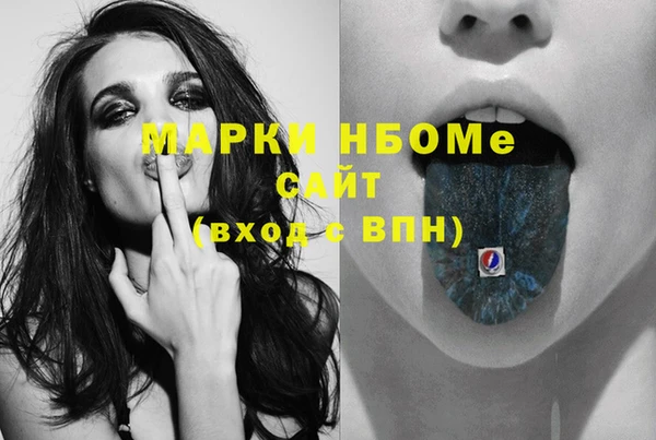 ECSTASY Богданович