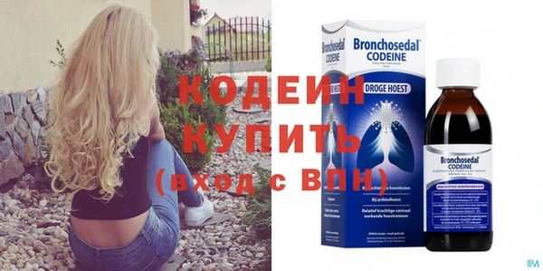 ECSTASY Богданович