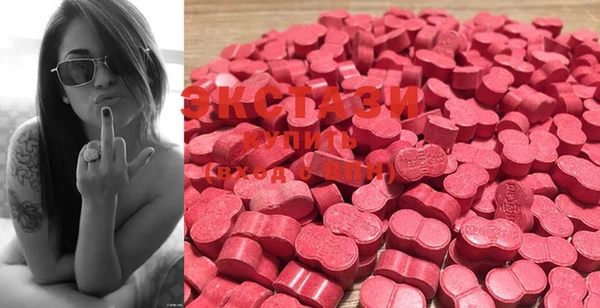 ECSTASY Богданович