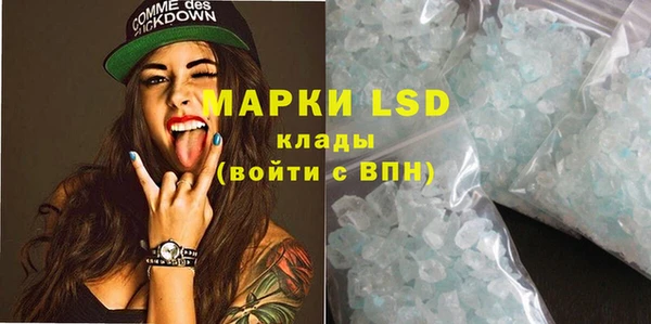 прущие грибы Богородск