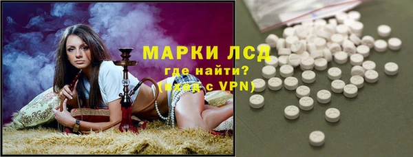 ECSTASY Богданович