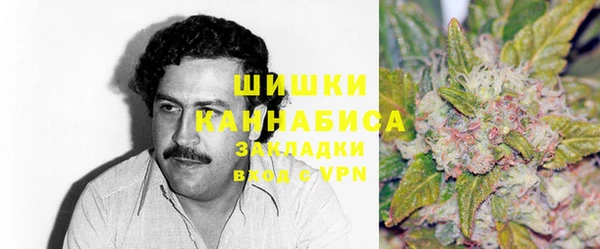 прущие грибы Богородск