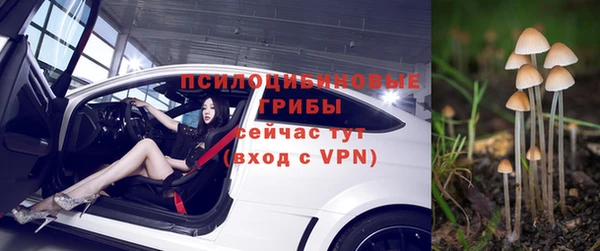 ECSTASY Богданович