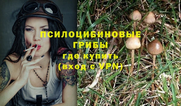 ECSTASY Богданович