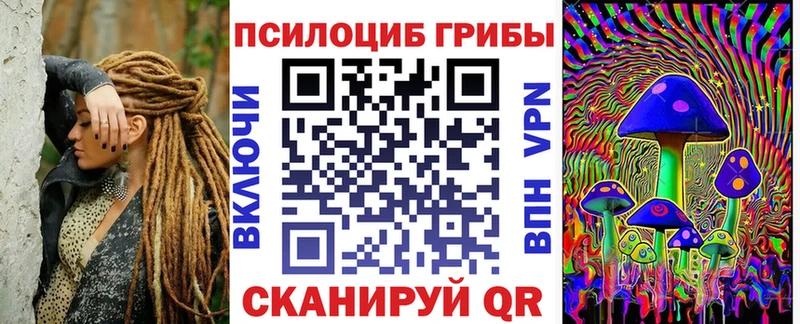 наркотики  Берёзовка  Галлюциногенные грибы Cubensis 